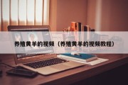 养殖黄羊的视频(养殖黄羊的视频教程) 养殖黄羊的视频(养殖黄羊的视频教程)