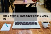 火鹤花养殖方法(火鹤怎么养殖开的花又多又好) 火鹤花养殖方法(火鹤怎么养殖开的花又多又好)