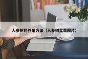 人参树的养殖方法(人参树盆栽图片) 人参树的养殖方法(人参树盆栽图片)