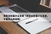 得意忘形是什么生肖(得意忘形是什么生肖,干柴烈火的动物) 得意忘形是什么生肖(得意忘形是什么生肖,干柴烈火的动物)