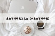宝宝不喝母乳怎么办(小宝宝不喝母乳) 宝宝不喝母乳怎么办(小宝宝不喝母乳)