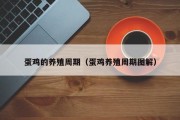 蛋鸡的养殖周期(蛋鸡养殖周期图解) 蛋鸡的养殖周期(蛋鸡养殖周期图解)