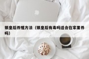银皇后养殖方法(银皇后有毒吗适合在家里养吗) 银皇后养殖方法(银皇后有毒吗适合在家里养吗)