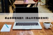 黑山羊养殖场图片(黑山羊养殖前景如何) 黑山羊养殖场图片(黑山羊养殖前景如何)