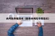 肉鸡散养殖技术(散养肉鸡几个月出栏) 肉鸡散养殖技术(散养肉鸡几个月出栏)