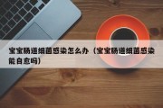 宝宝肠道细菌感染怎么办(宝宝肠道细菌感染能自愈吗) 宝宝肠道细菌感染怎么办(宝宝肠道细菌感染能自愈吗)